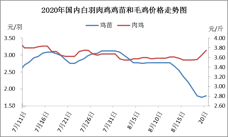 毛雞和雞苗價格走勢圖