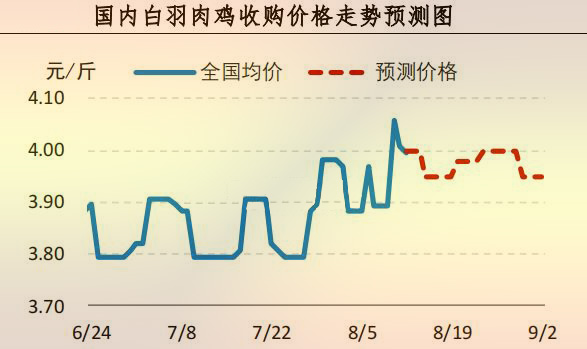 白羽肉雞價格走勢預測