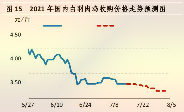 國(guó)内白羽肉雞收購價格走勢預測圖