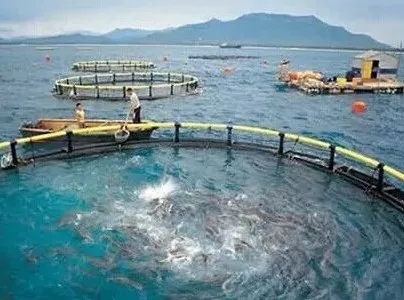 水産養殖