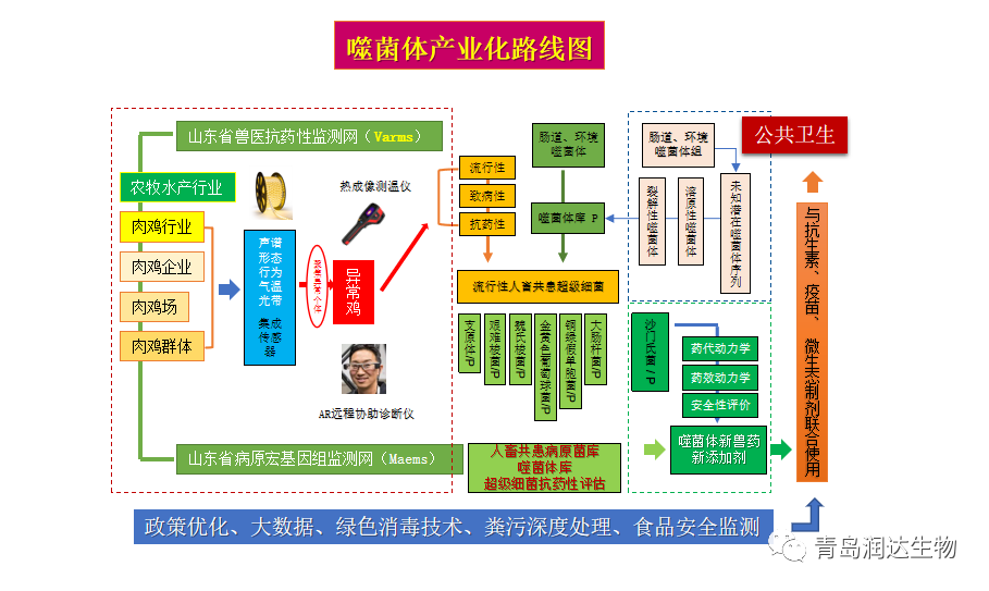 噬菌體産業化路線圖