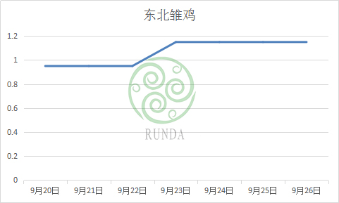 東北雛雞行情