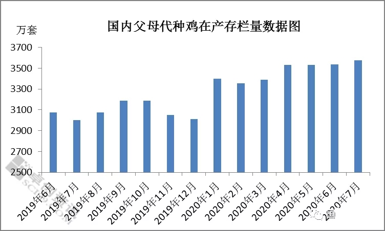 國(guó)内父母代種(zhǒng)雞存欄量數據圖