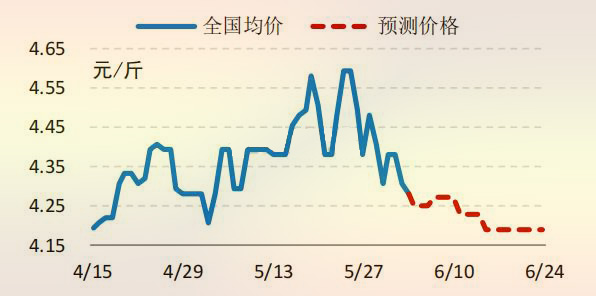 6月份國(guó)内白羽肉雞收購價格走勢預測圖