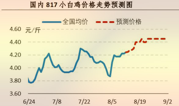 817小白雞價格走勢預測