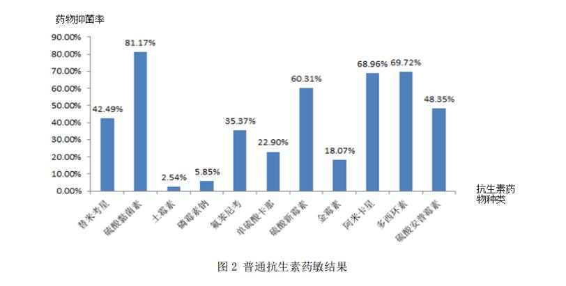 抗生素藥敏結果