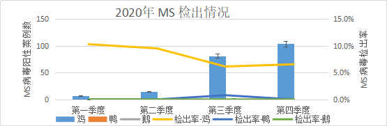 2020年 MS 一至四季度檢出情況圖