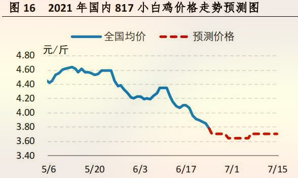 國(guó)内 817 小白雞價格走勢預測圖