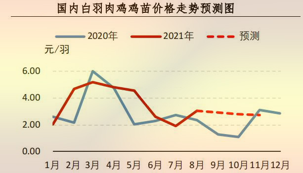 雞苗價格行情