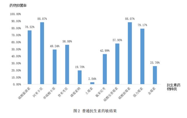 圖2 普通抗生素藥敏結果