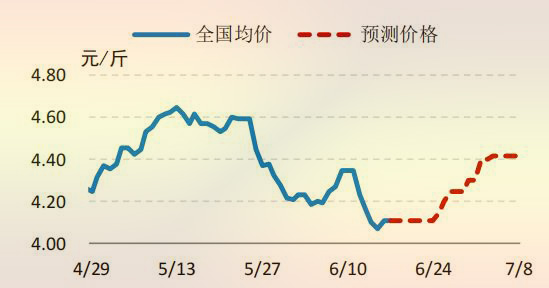 國(guó)内 817 小白雞價格走勢預測圖