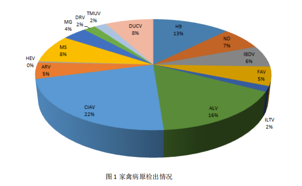 家禽病原檢出情況