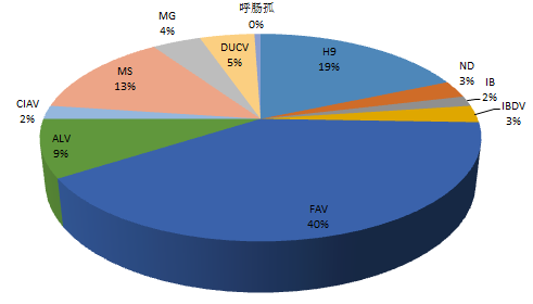 家禽病原檢出情況