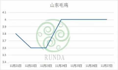 山東毛雞行情