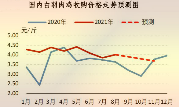 白羽肉雞價格行情