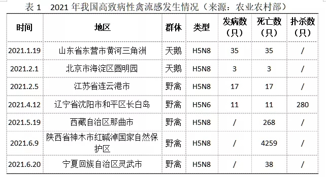 禽流感緻病情況