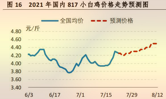 國(guó)内 817 小白雞價格走勢預測圖