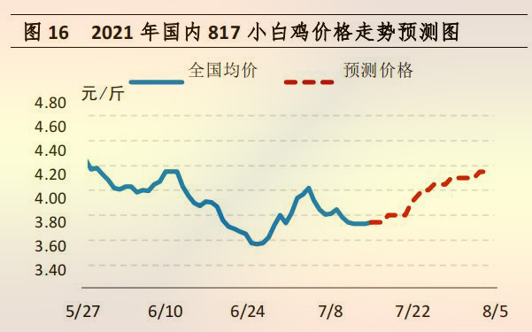 國(guó)内 817 小白雞價格走勢預測圖