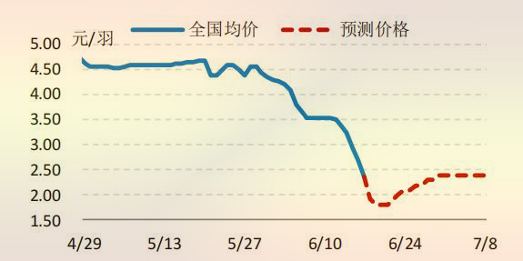 國(guó)内白羽肉雞雞苗價格走勢預測圖