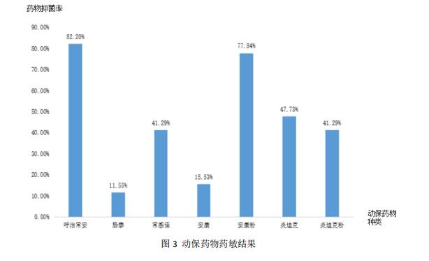 圖3 動保藥物藥敏結果