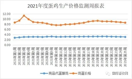 蛋雞生産價格