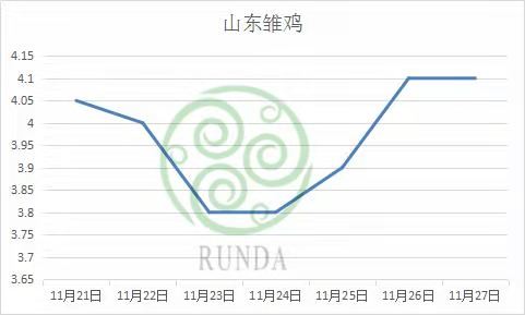 山東雛雞行情