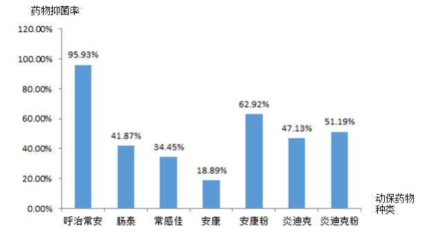 圖3 動保藥物藥敏結果