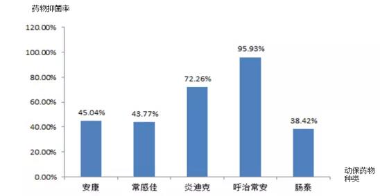 臨床主要敏感動保藥物