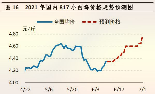 國(guó)内 817 小白雞價格走勢預測圖