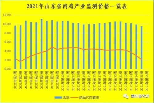 山東省肉雞産業監測價格